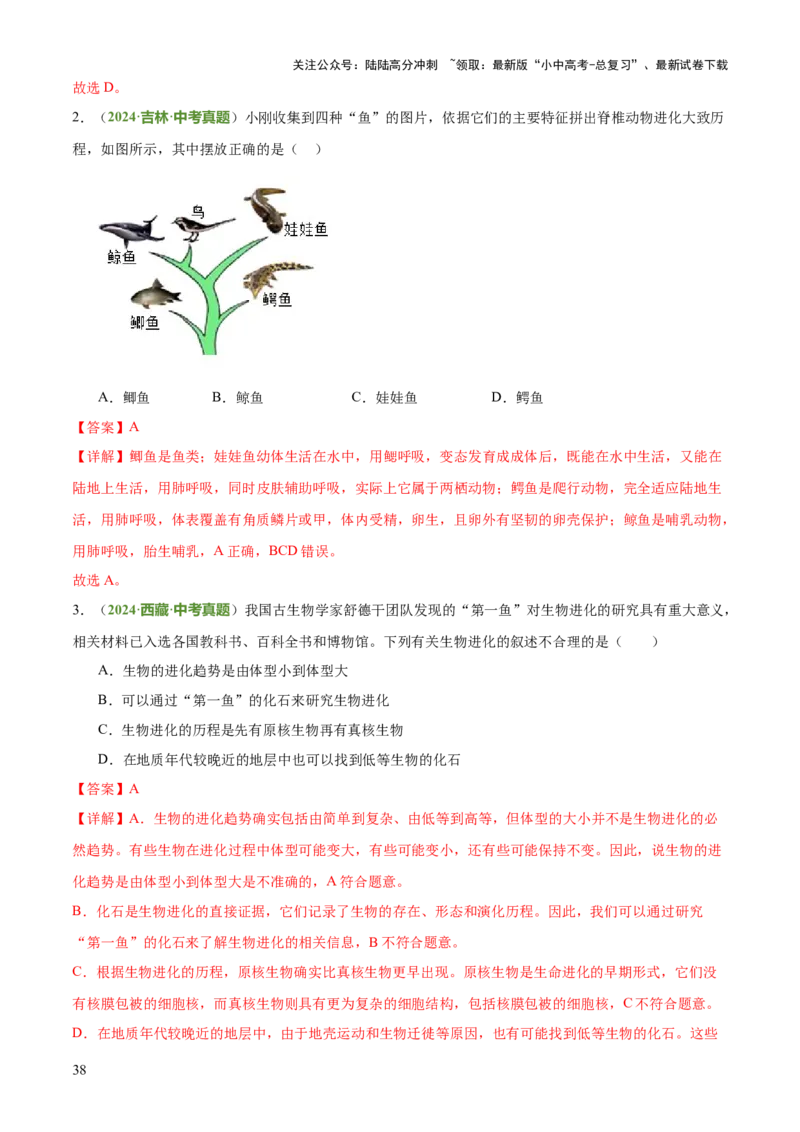 专题06生物的生殖发育、遗传和进化（3大答题模板）（解析版）_02中考总复习（2026版更新中）_08-生物-中考总复习_2025中考复习资料_2025年中考生物答题方法模板