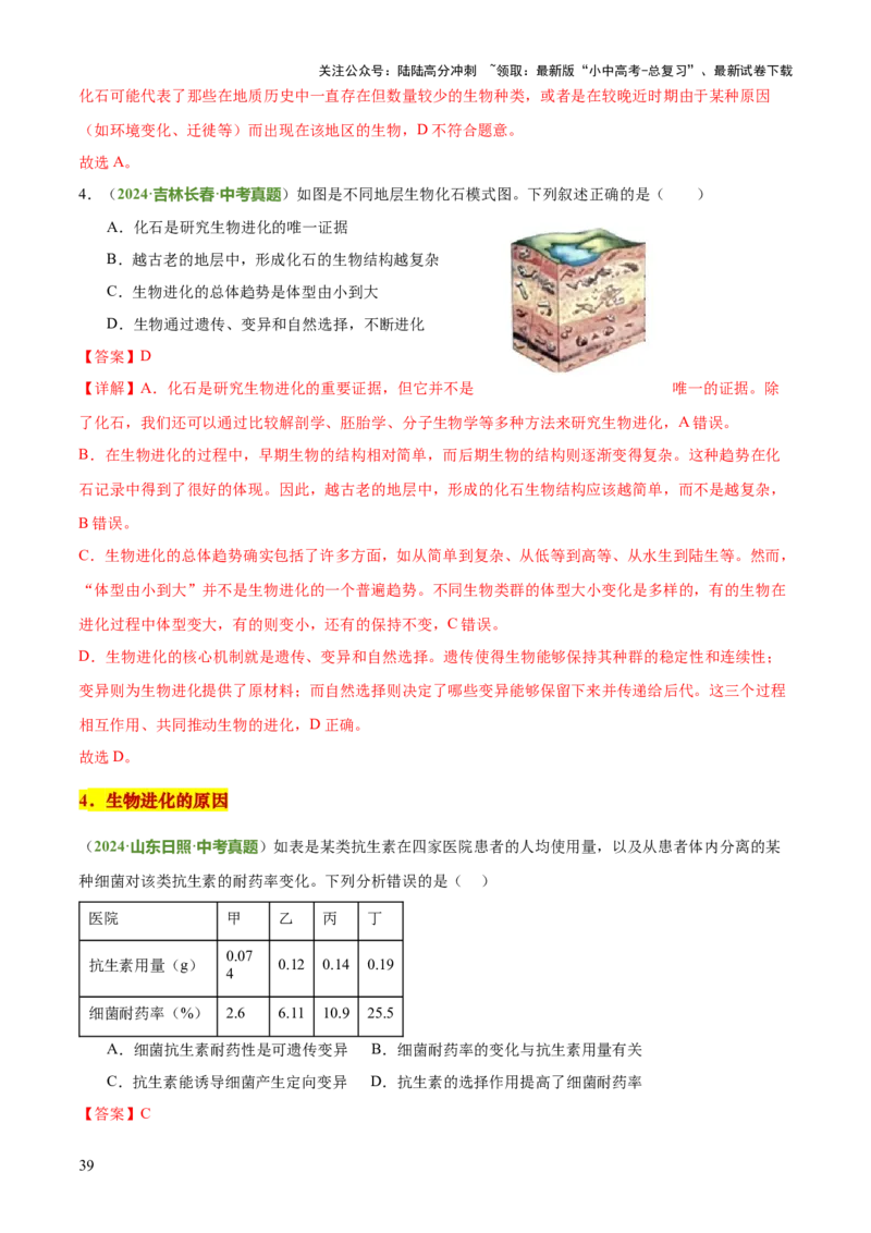 专题06生物的生殖发育、遗传和进化（3大答题模板）（解析版）_02中考总复习（2026版更新中）_08-生物-中考总复习_2025中考复习资料_2025年中考生物答题方法模板