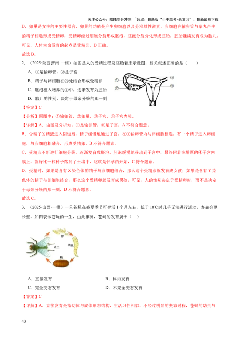专题06生物的生殖发育、遗传和进化（3大答题模板）（解析版）_02中考总复习（2026版更新中）_08-生物-中考总复习_2025中考复习资料_2025年中考生物答题方法模板