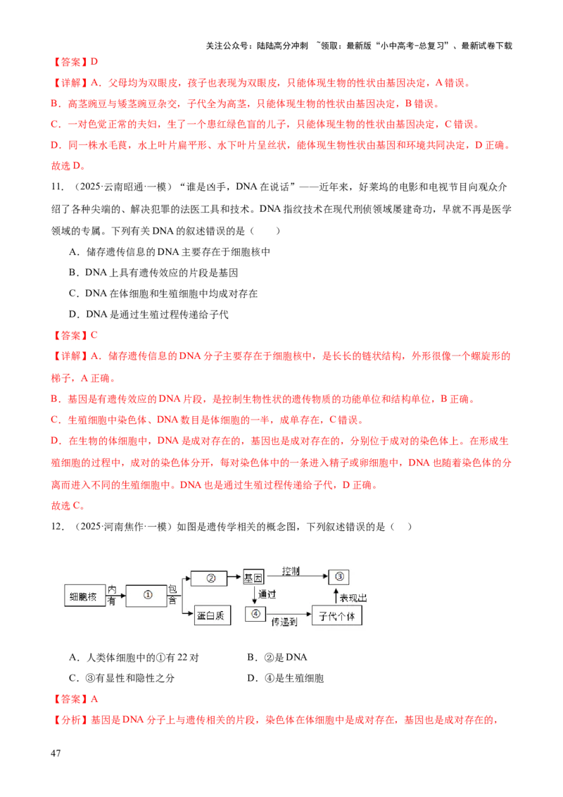 专题06生物的生殖发育、遗传和进化（3大答题模板）（解析版）_02中考总复习（2026版更新中）_08-生物-中考总复习_2025中考复习资料_2025年中考生物答题方法模板