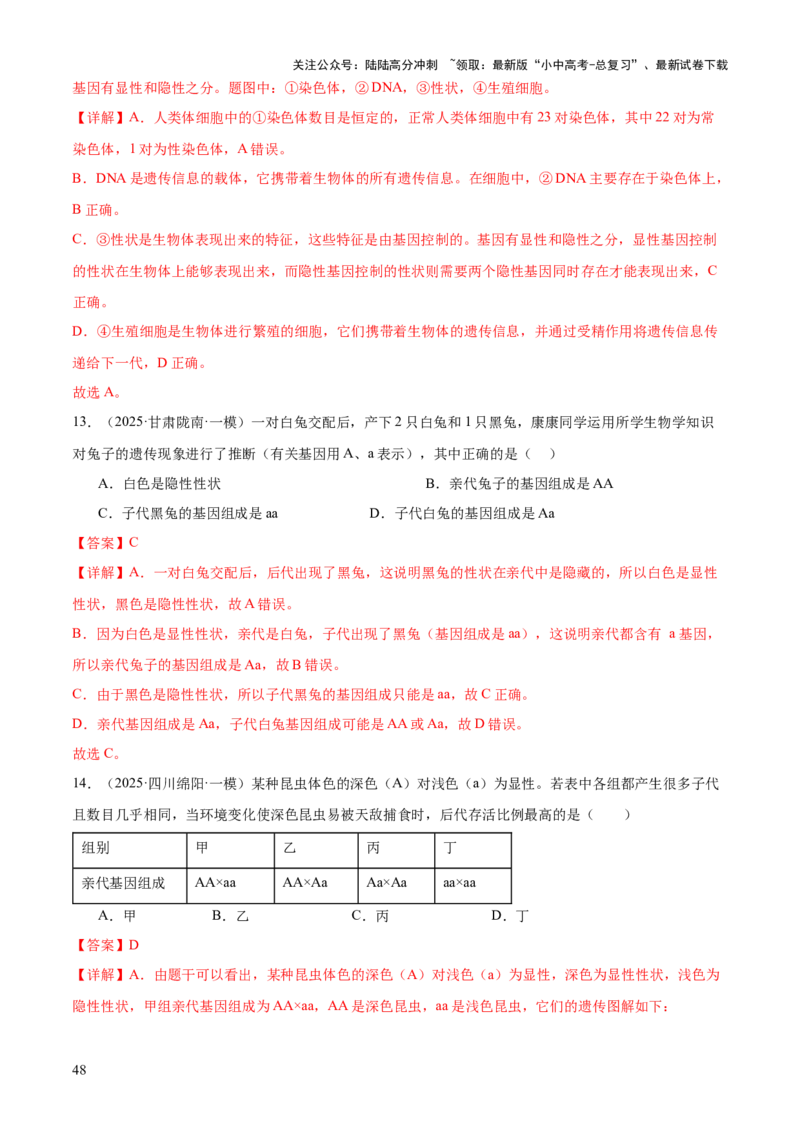 专题06生物的生殖发育、遗传和进化（3大答题模板）（解析版）_02中考总复习（2026版更新中）_08-生物-中考总复习_2025中考复习资料_2025年中考生物答题方法模板