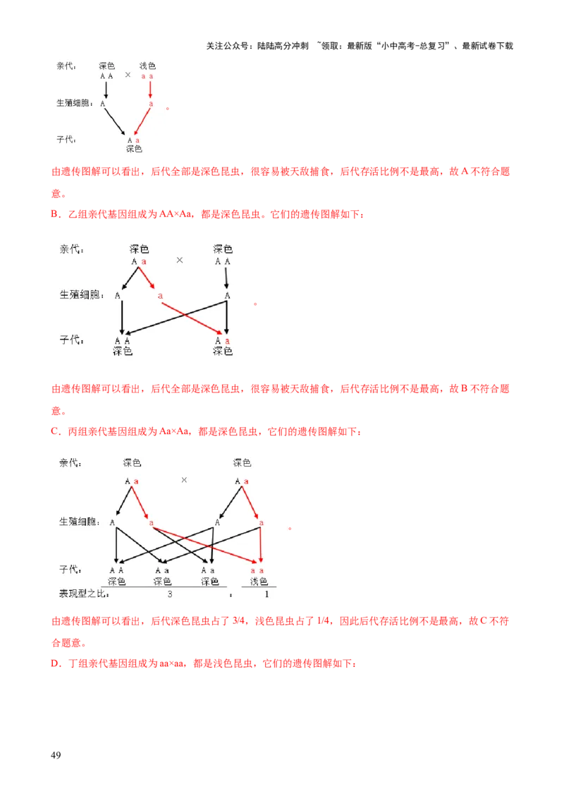 专题06生物的生殖发育、遗传和进化（3大答题模板）（解析版）_02中考总复习（2026版更新中）_08-生物-中考总复习_2025中考复习资料_2025年中考生物答题方法模板
