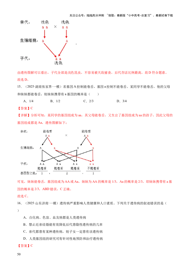 专题06生物的生殖发育、遗传和进化（3大答题模板）（解析版）_02中考总复习（2026版更新中）_08-生物-中考总复习_2025中考复习资料_2025年中考生物答题方法模板