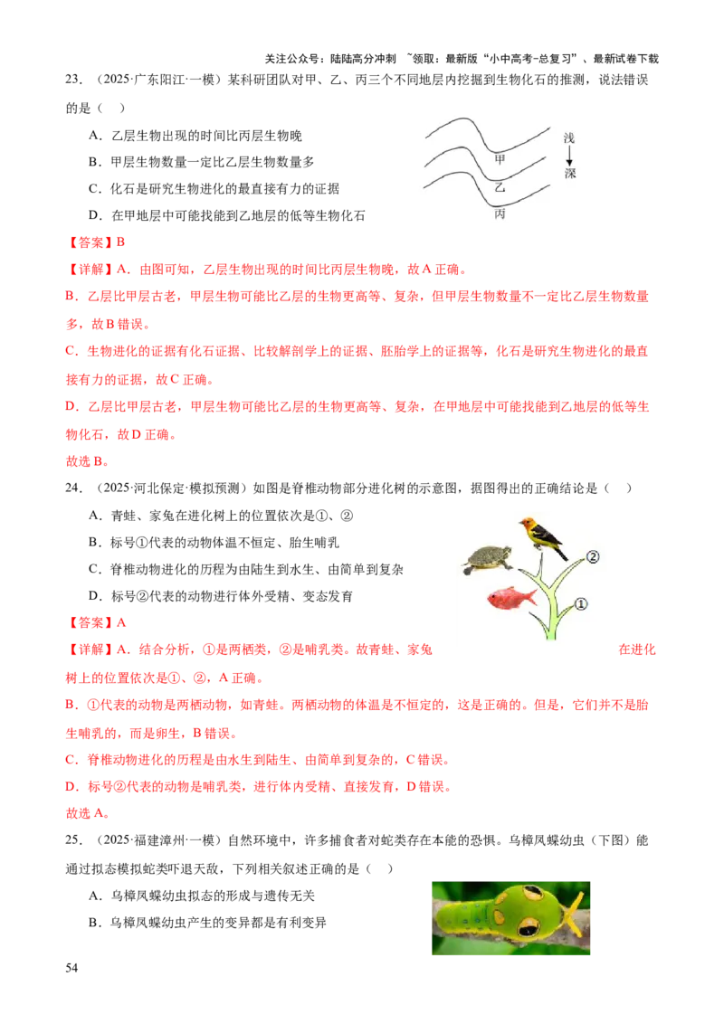 专题06生物的生殖发育、遗传和进化（3大答题模板）（解析版）_02中考总复习（2026版更新中）_08-生物-中考总复习_2025中考复习资料_2025年中考生物答题方法模板