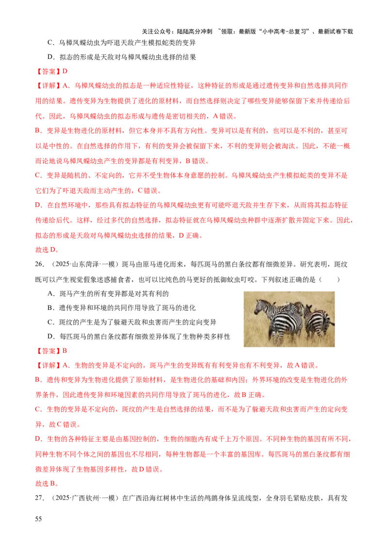 专题06生物的生殖发育、遗传和进化（3大答题模板）（解析版）_02中考总复习（2026版更新中）_08-生物-中考总复习_2025中考复习资料_2025年中考生物答题方法模板