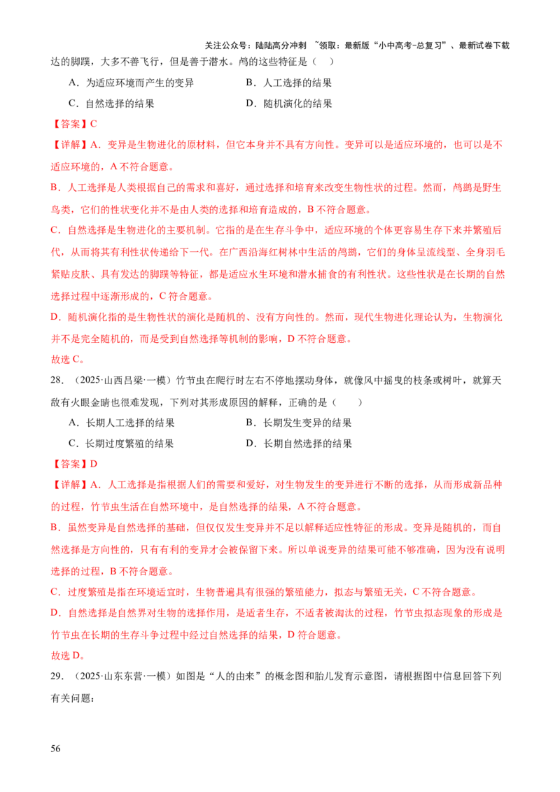 专题06生物的生殖发育、遗传和进化（3大答题模板）（解析版）_02中考总复习（2026版更新中）_08-生物-中考总复习_2025中考复习资料_2025年中考生物答题方法模板