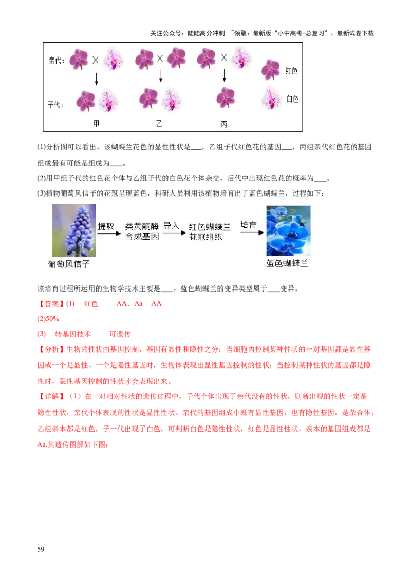 专题06生物的生殖发育、遗传和进化（3大答题模板）（解析版）_02中考总复习（2026版更新中）_08-生物-中考总复习_2025中考复习资料_2025年中考生物答题方法模板