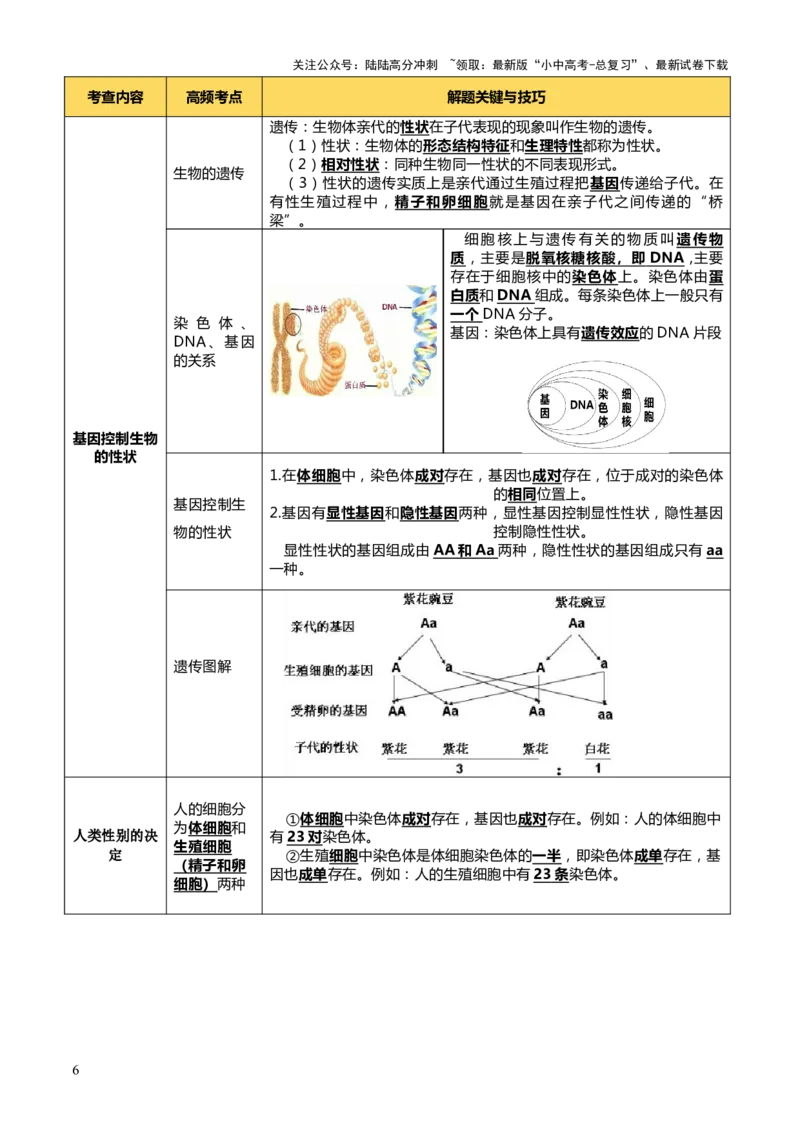 专题06生物的生殖发育、遗传和进化（3大答题模板）（解析版）_02中考总复习（2026版更新中）_08-生物-中考总复习_2025中考复习资料_2025年中考生物答题方法模板