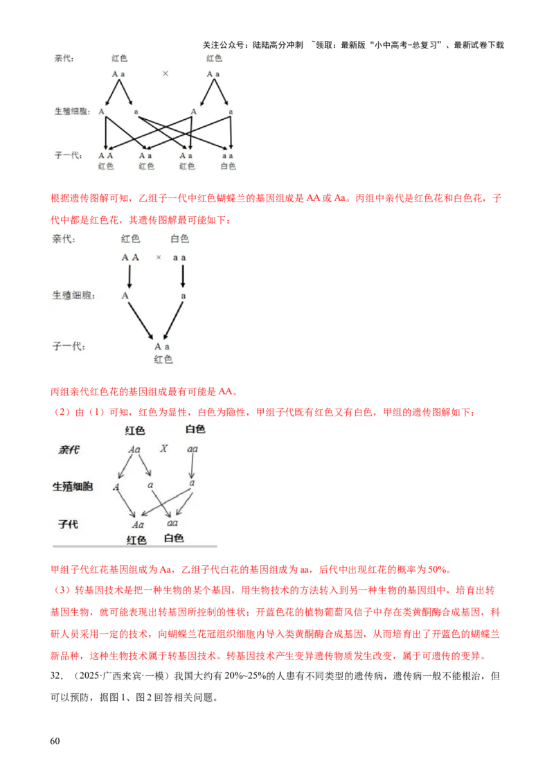 专题06生物的生殖发育、遗传和进化（3大答题模板）（解析版）_02中考总复习（2026版更新中）_08-生物-中考总复习_2025中考复习资料_2025年中考生物答题方法模板