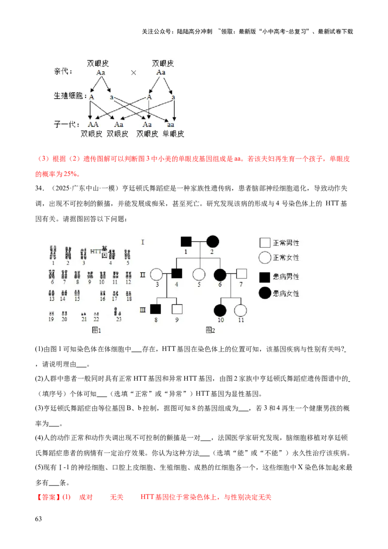 专题06生物的生殖发育、遗传和进化（3大答题模板）（解析版）_02中考总复习（2026版更新中）_08-生物-中考总复习_2025中考复习资料_2025年中考生物答题方法模板