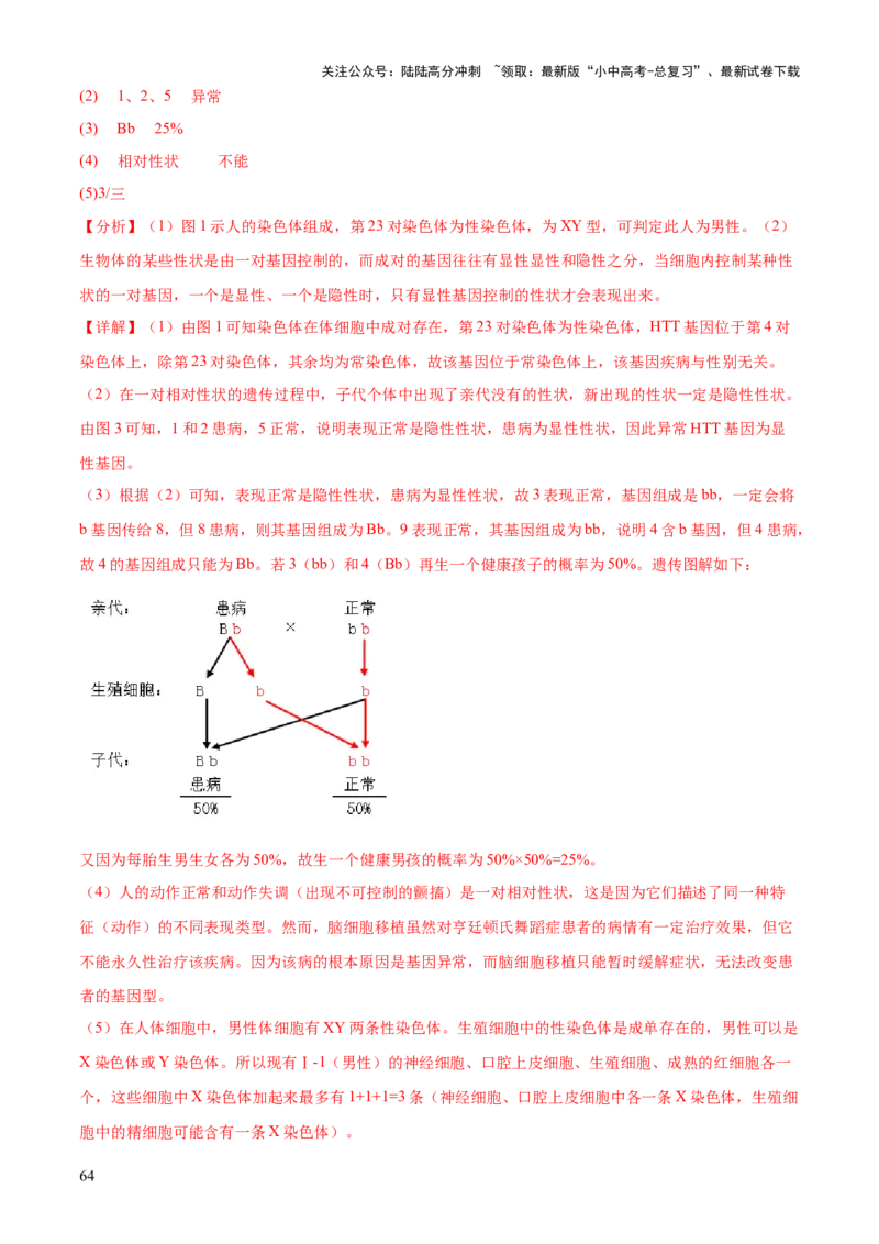 专题06生物的生殖发育、遗传和进化（3大答题模板）（解析版）_02中考总复习（2026版更新中）_08-生物-中考总复习_2025中考复习资料_2025年中考生物答题方法模板