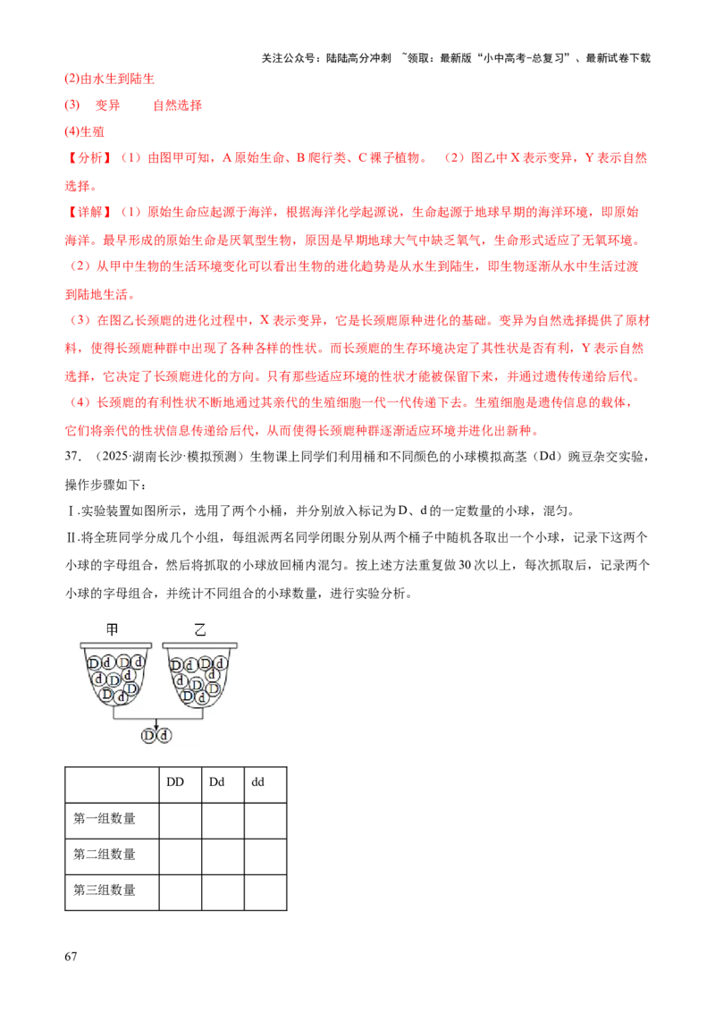 专题06生物的生殖发育、遗传和进化（3大答题模板）（解析版）_02中考总复习（2026版更新中）_08-生物-中考总复习_2025中考复习资料_2025年中考生物答题方法模板