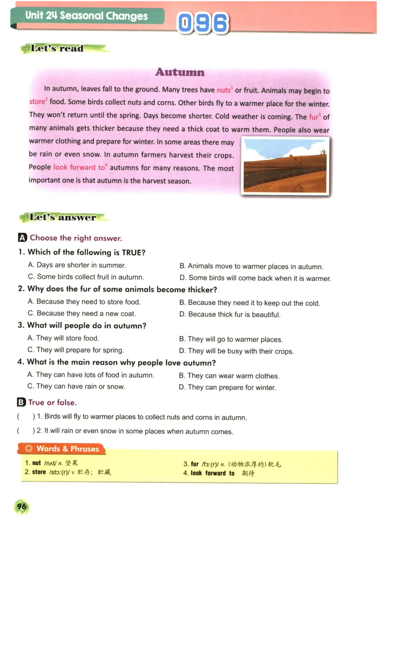 读霸小学英语6年级阅读128篇_26春四年级上下册人教版_四上英语合集人教版PEP英语四年级上册新教材（教学视频+课件+动画+音频+练习+教案）_17练习资料_《英语阅读128篇》