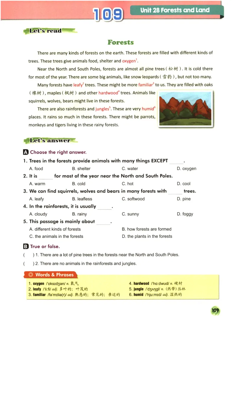 读霸小学英语6年级阅读128篇_26春四年级上下册人教版_四上英语合集人教版PEP英语四年级上册新教材（教学视频+课件+动画+音频+练习+教案）_17练习资料_《英语阅读128篇》