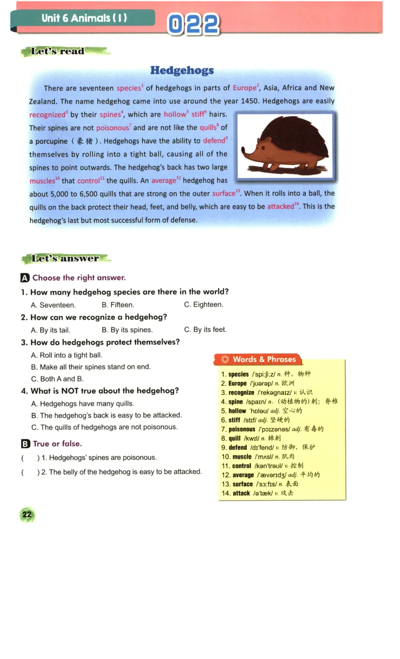 读霸小学英语6年级阅读128篇_26春四年级上下册人教版_四上英语合集人教版PEP英语四年级上册新教材（教学视频+课件+动画+音频+练习+教案）_17练习资料_《英语阅读128篇》