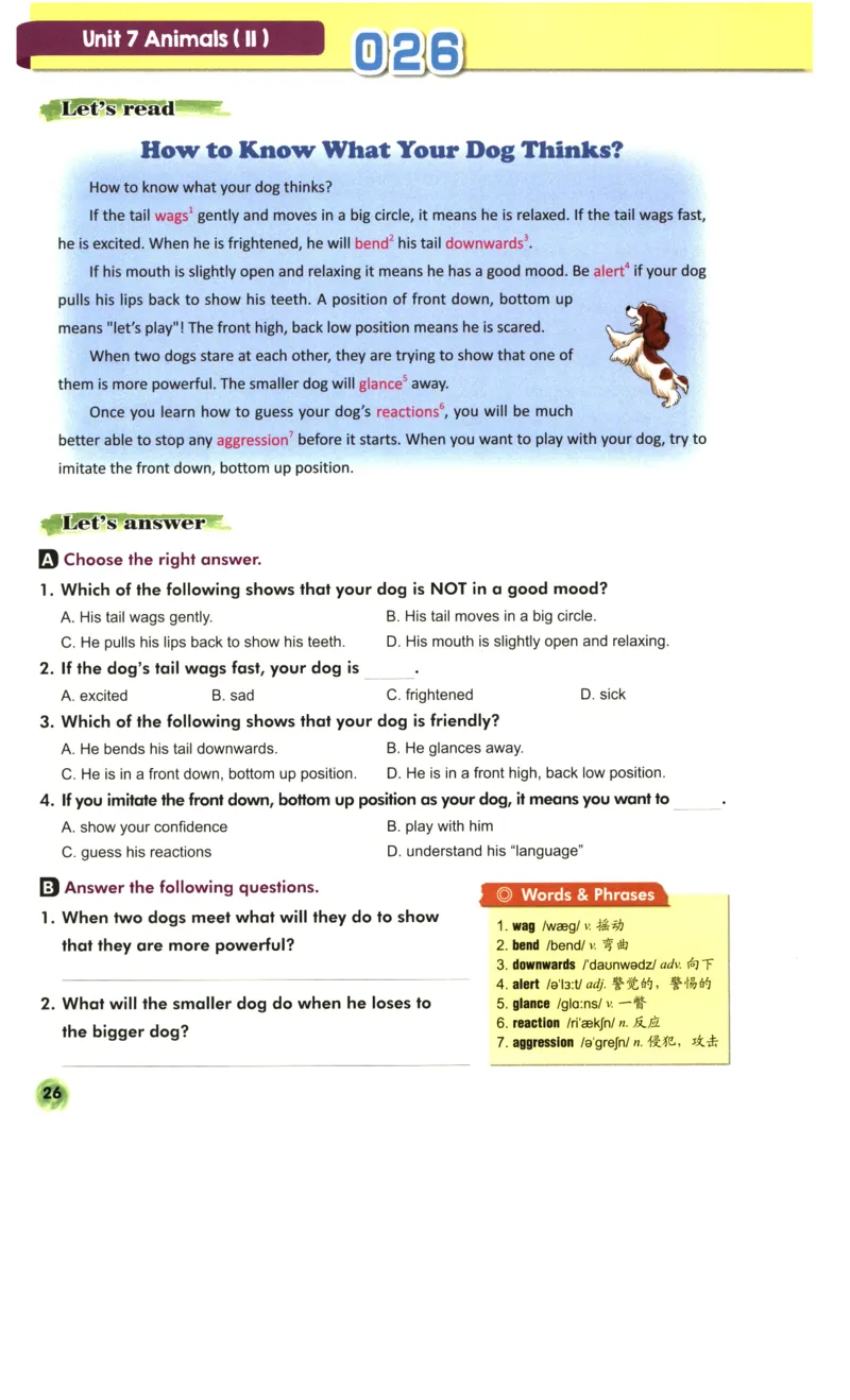 读霸小学英语6年级阅读128篇_26春四年级上下册人教版_四上英语合集人教版PEP英语四年级上册新教材（教学视频+课件+动画+音频+练习+教案）_17练习资料_《英语阅读128篇》