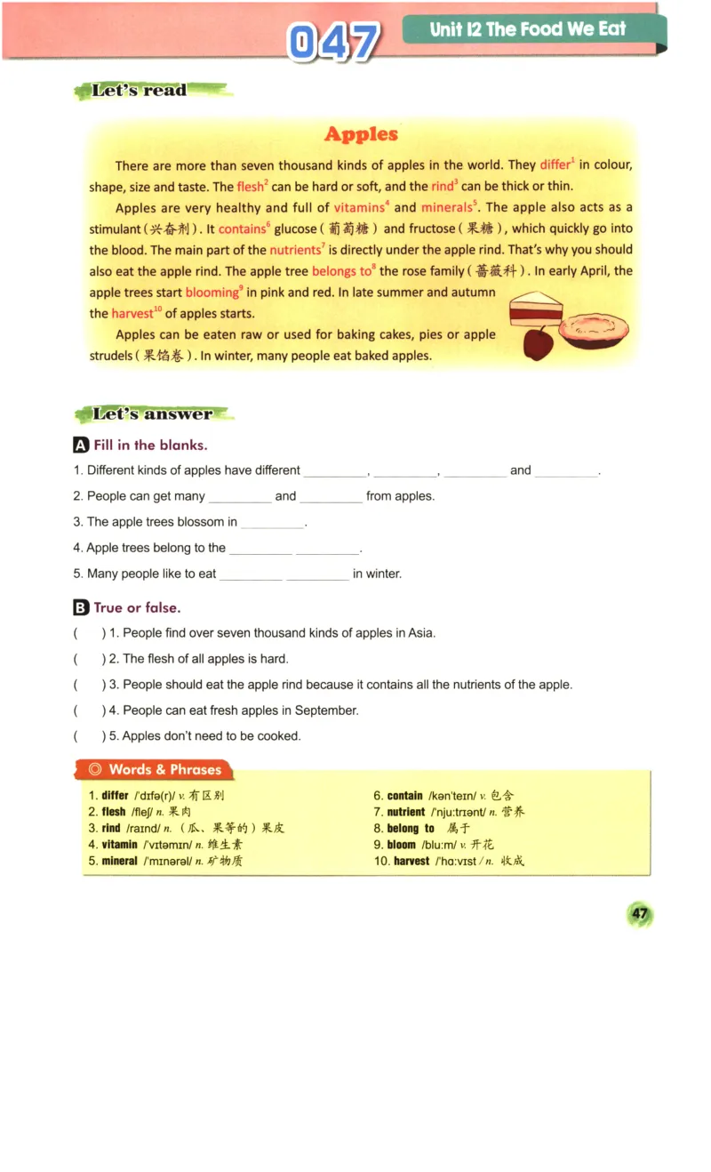 读霸小学英语6年级阅读128篇_26春四年级上下册人教版_四上英语合集人教版PEP英语四年级上册新教材（教学视频+课件+动画+音频+练习+教案）_17练习资料_《英语阅读128篇》