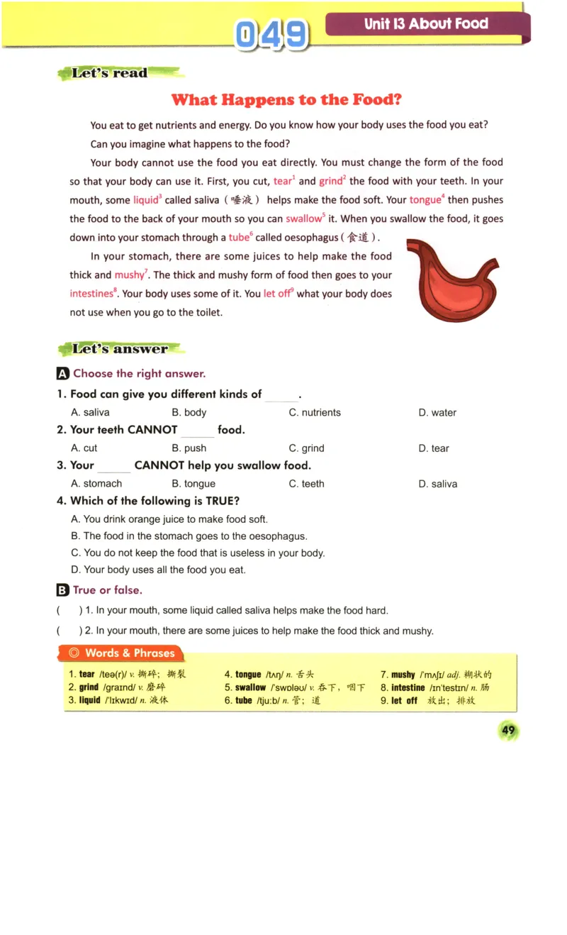 读霸小学英语6年级阅读128篇_26春四年级上下册人教版_四上英语合集人教版PEP英语四年级上册新教材（教学视频+课件+动画+音频+练习+教案）_17练习资料_《英语阅读128篇》