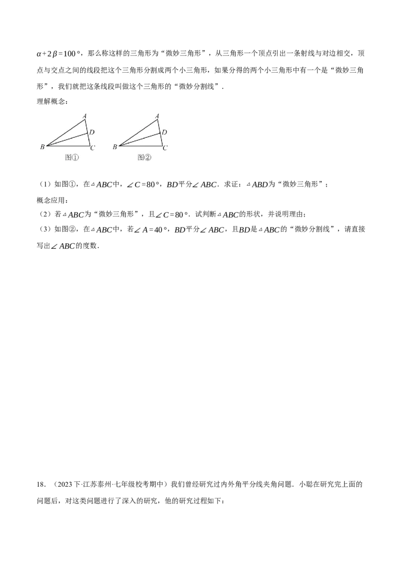 专题11.2与三角形有关角的综合（压轴题专项讲练）（人教版）（学生版）_初中数学_八年级数学上册（人教版）_压轴题专项-V5_2025版