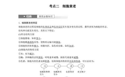 2024年高考生物一轮复习（新人教版）第4单元　第5课时　细胞的分化、衰老和死亡_09高考生物_2024年新高考资料_1.2024一轮复习_2024年高考生物一轮复习讲义（新人教版）