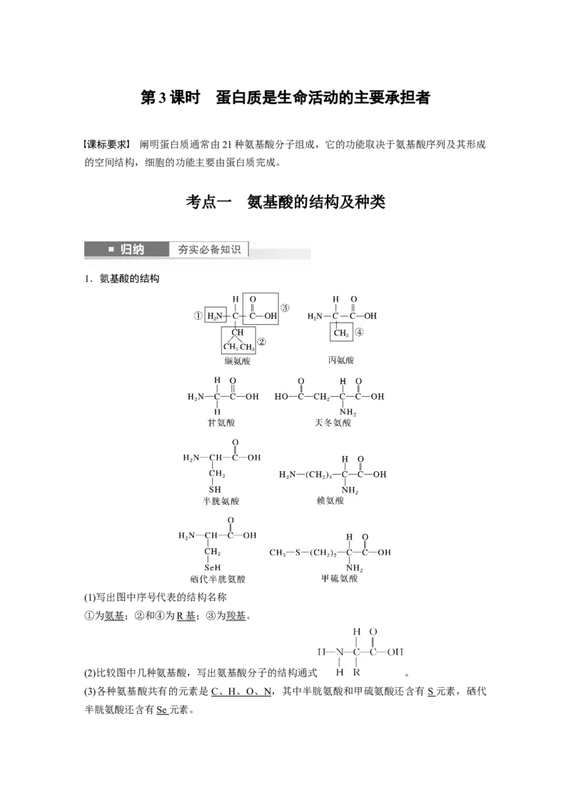 2024年高考生物一轮复习（新人教版）第1单元　第3课时　蛋白质是生命活动的主要承担者_09高考生物_2024年新高考资料_1.2024一轮复习_2024年高考生物一轮复习讲义（新人教版）