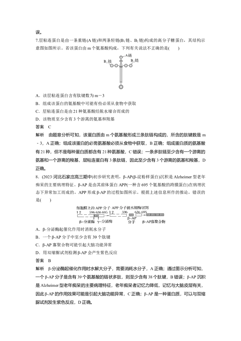 2024年高考生物一轮复习（新人教版）第1单元　第3课时　蛋白质是生命活动的主要承担者_09高考生物_2024年新高考资料_1.2024一轮复习_2024年高考生物一轮复习讲义（新人教版）