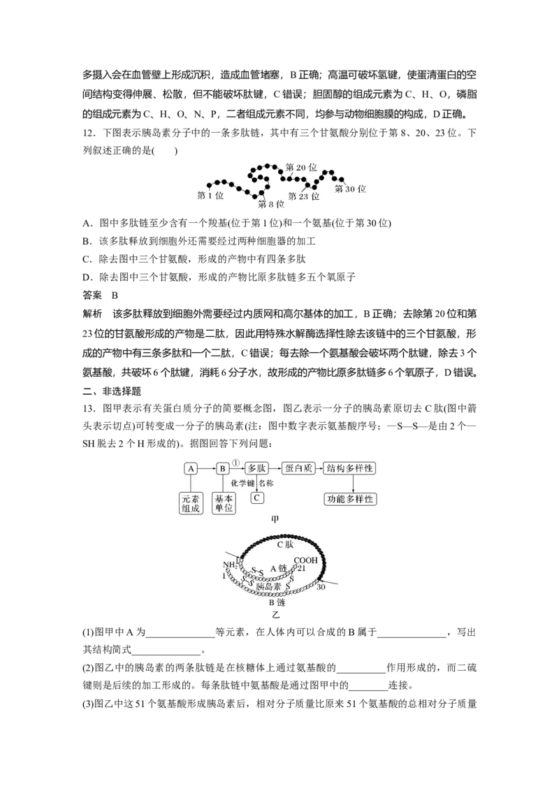 2024年高考生物一轮复习（新人教版）第1单元　第3课时　蛋白质是生命活动的主要承担者_09高考生物_2024年新高考资料_1.2024一轮复习_2024年高考生物一轮复习讲义（新人教版）
