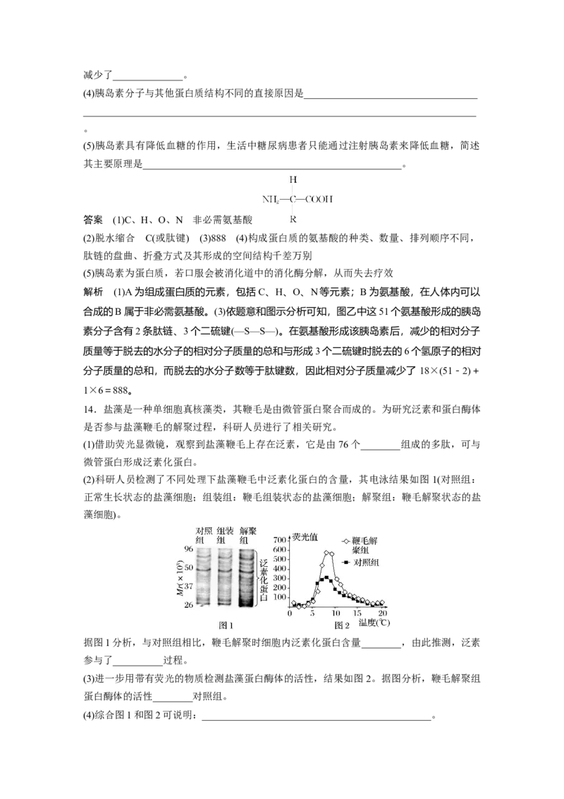 2024年高考生物一轮复习（新人教版）第1单元　第3课时　蛋白质是生命活动的主要承担者_09高考生物_2024年新高考资料_1.2024一轮复习_2024年高考生物一轮复习讲义（新人教版）