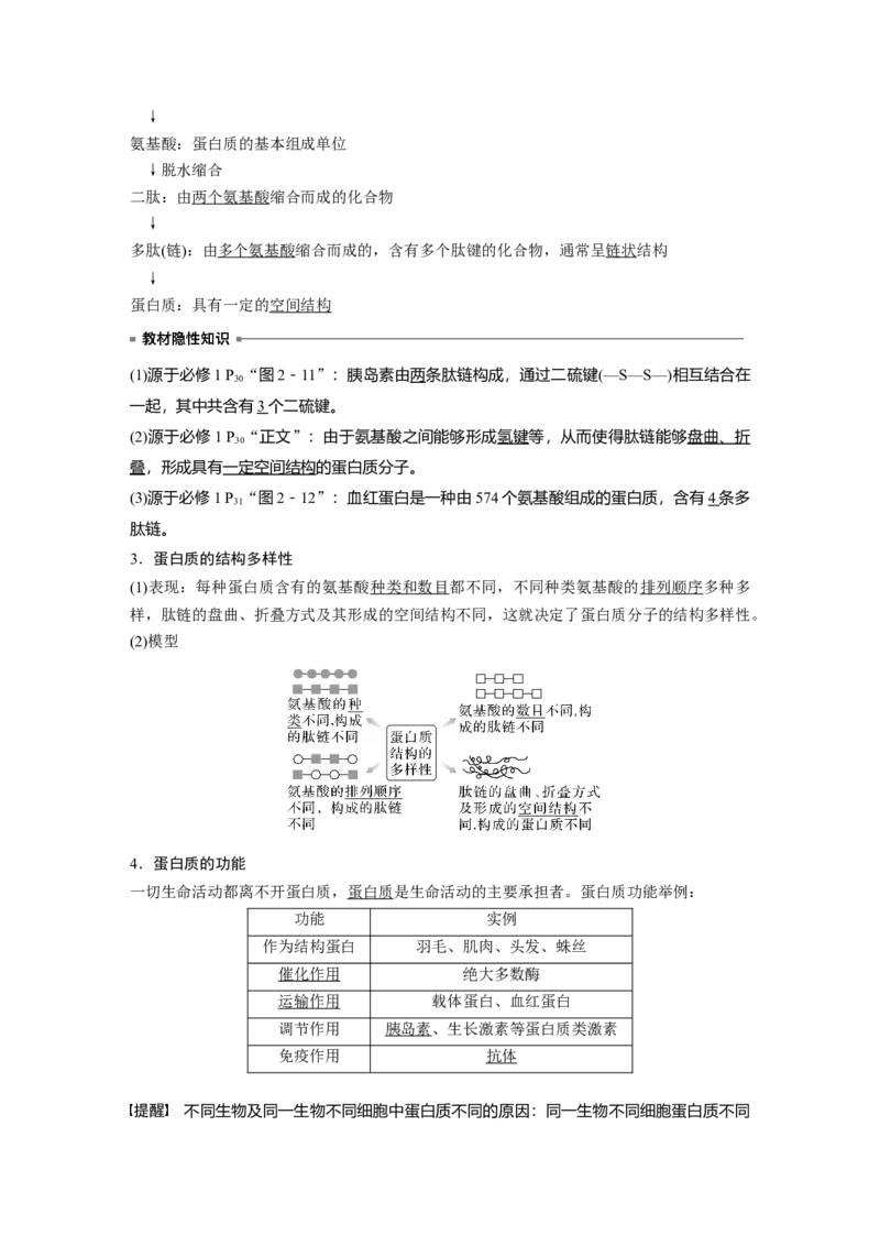 2024年高考生物一轮复习（新人教版）第1单元　第3课时　蛋白质是生命活动的主要承担者_09高考生物_2024年新高考资料_1.2024一轮复习_2024年高考生物一轮复习讲义（新人教版）