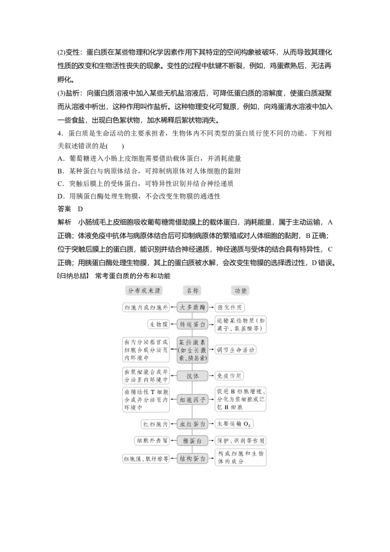 2024年高考生物一轮复习（新人教版）第1单元　第3课时　蛋白质是生命活动的主要承担者_09高考生物_2024年新高考资料_1.2024一轮复习_2024年高考生物一轮复习讲义（新人教版）