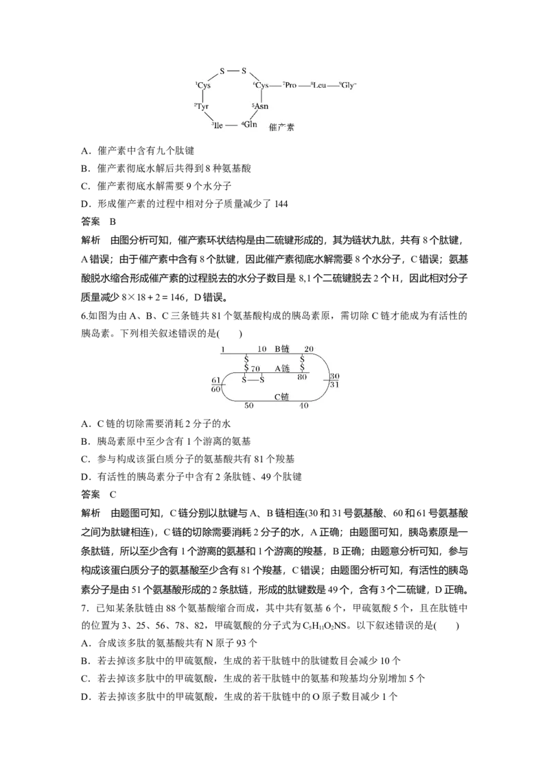 2024年高考生物一轮复习（新人教版）第1单元　第3课时　蛋白质是生命活动的主要承担者_09高考生物_2024年新高考资料_1.2024一轮复习_2024年高考生物一轮复习讲义（新人教版）