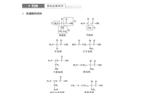 2024年高考生物一轮复习（新人教版）第1单元　第3课时　蛋白质是生命活动的主要承担者_09高考生物_2024年新高考资料_1.2024一轮复习_2024年高考生物一轮复习讲义（新人教版）