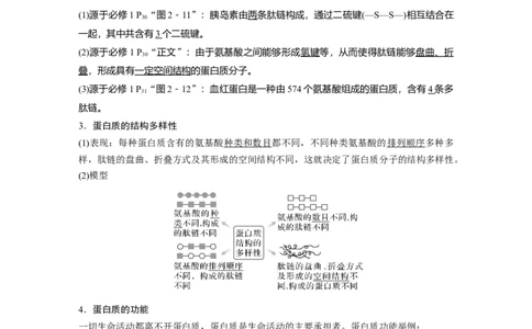 2024年高考生物一轮复习（新人教版）第1单元　第3课时　蛋白质是生命活动的主要承担者_09高考生物_2024年新高考资料_1.2024一轮复习_2024年高考生物一轮复习讲义（新人教版）