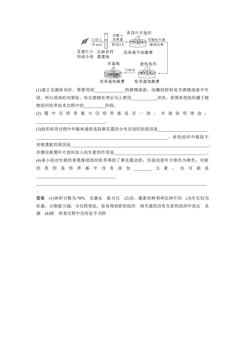 2024年高考生物一轮复习（新人教版）第10单元　第3课时　植物细胞工程_09高考生物_2024年新高考资料_1.2024一轮复习_2024年高考生物一轮复习讲义（新人教版）