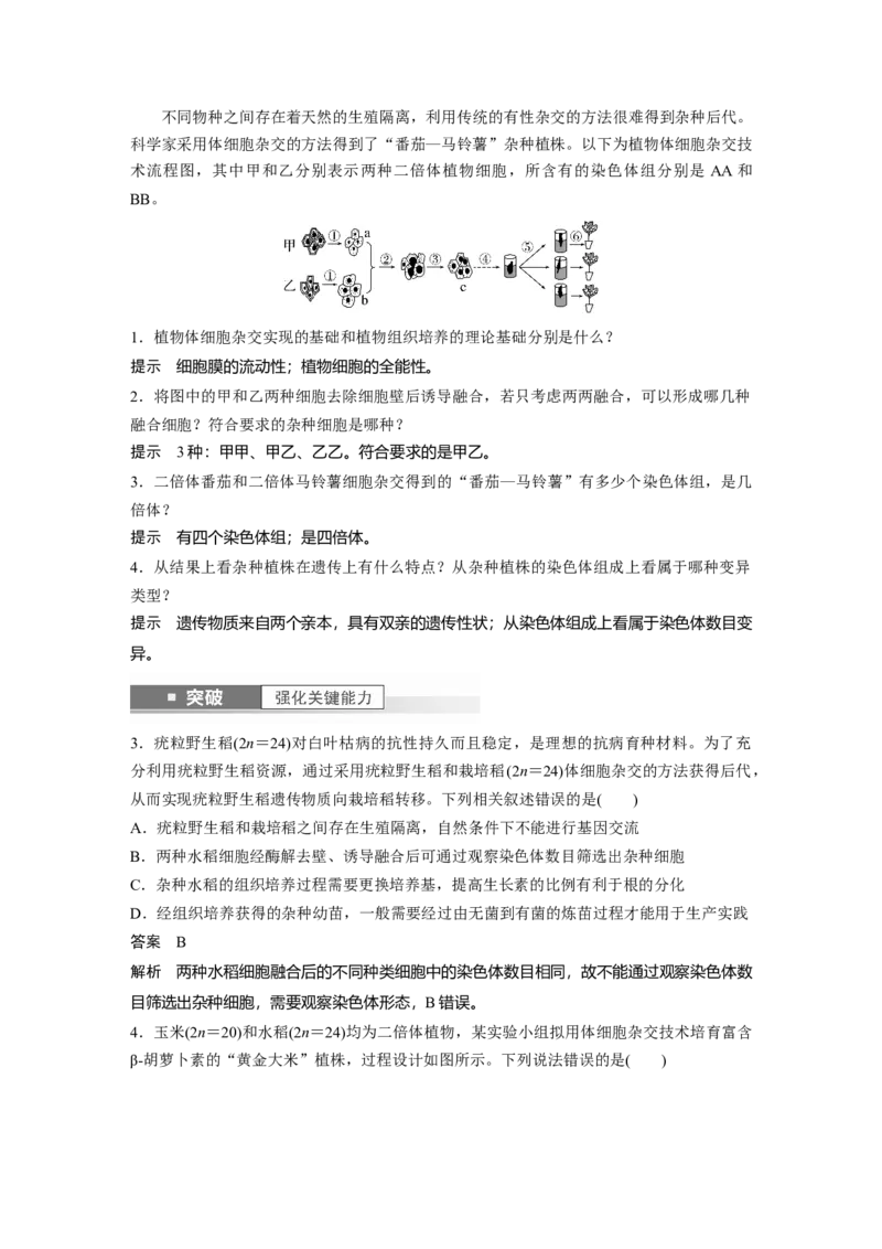 2024年高考生物一轮复习（新人教版）第10单元　第3课时　植物细胞工程_09高考生物_2024年新高考资料_1.2024一轮复习_2024年高考生物一轮复习讲义（新人教版）