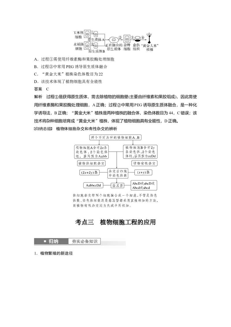 2024年高考生物一轮复习（新人教版）第10单元　第3课时　植物细胞工程_09高考生物_2024年新高考资料_1.2024一轮复习_2024年高考生物一轮复习讲义（新人教版）