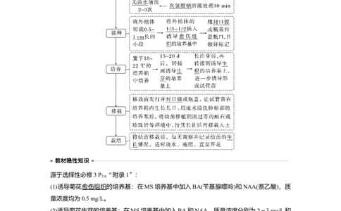 2024年高考生物一轮复习（新人教版）第10单元　第3课时　植物细胞工程_09高考生物_2024年新高考资料_1.2024一轮复习_2024年高考生物一轮复习讲义（新人教版）