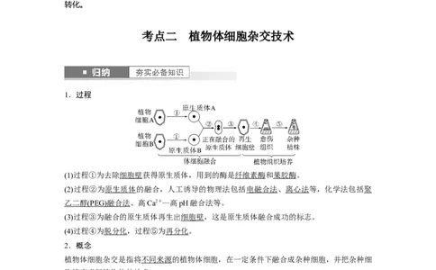 2024年高考生物一轮复习（新人教版）第10单元　第3课时　植物细胞工程_09高考生物_2024年新高考资料_1.2024一轮复习_2024年高考生物一轮复习讲义（新人教版）
