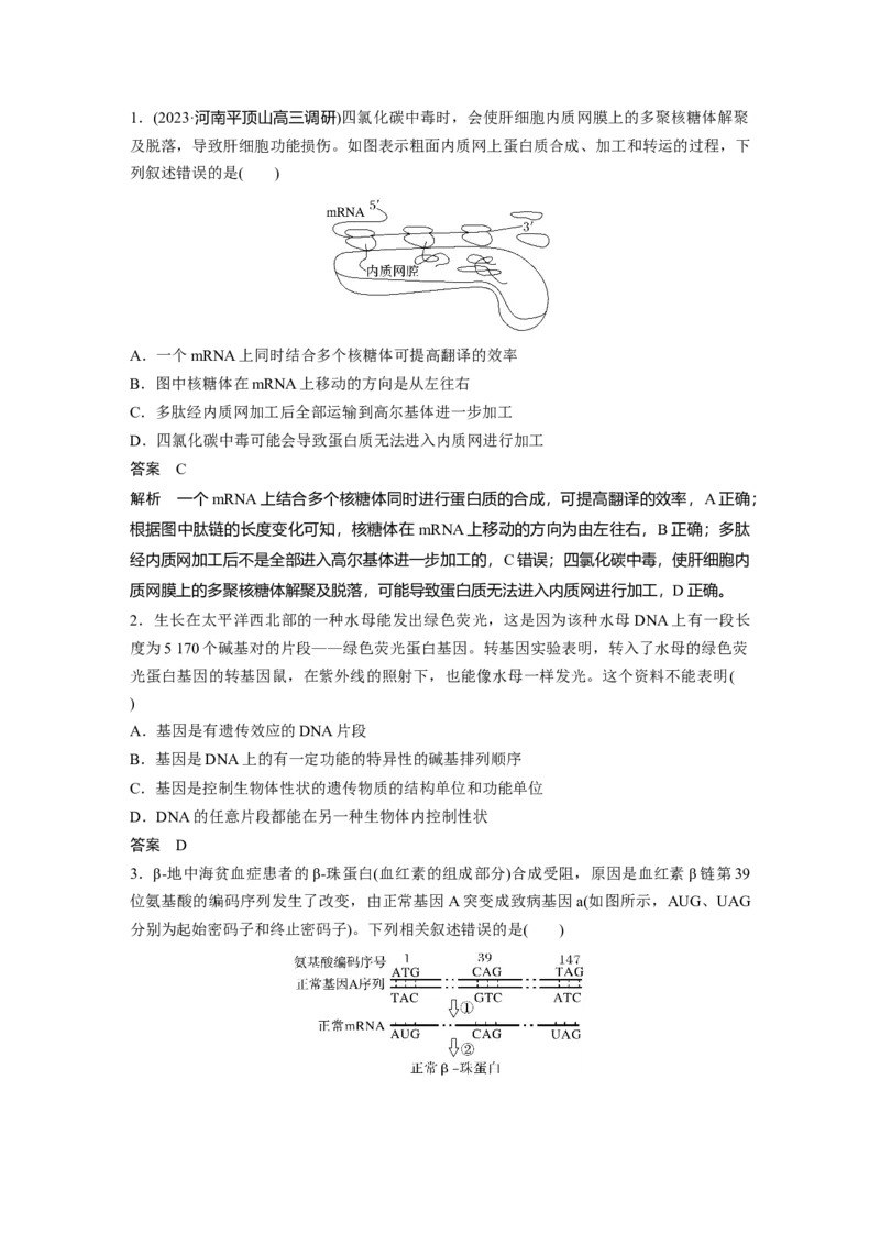 2024年高考生物一轮复习（新人教版）第6单元　第3课时　基因的概念与表达_09高考生物_2024年新高考资料_1.2024一轮复习_2024年高考生物一轮复习讲义（新人教版）