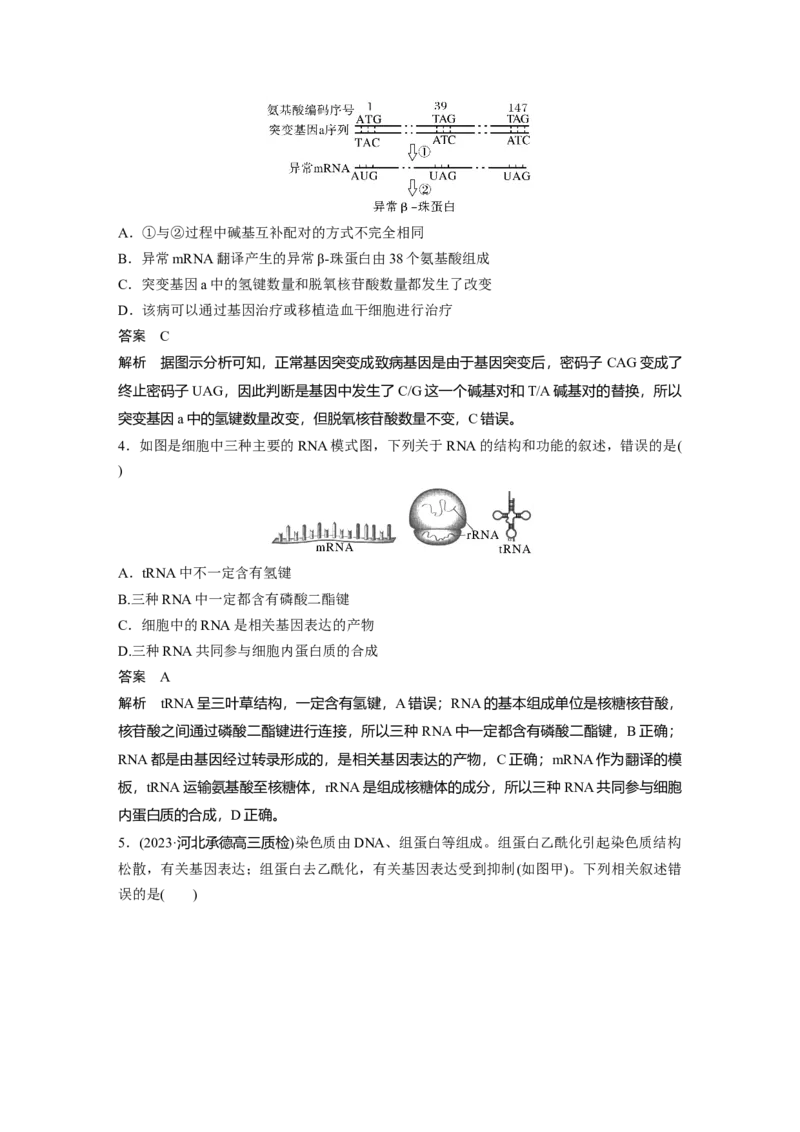 2024年高考生物一轮复习（新人教版）第6单元　第3课时　基因的概念与表达_09高考生物_2024年新高考资料_1.2024一轮复习_2024年高考生物一轮复习讲义（新人教版）