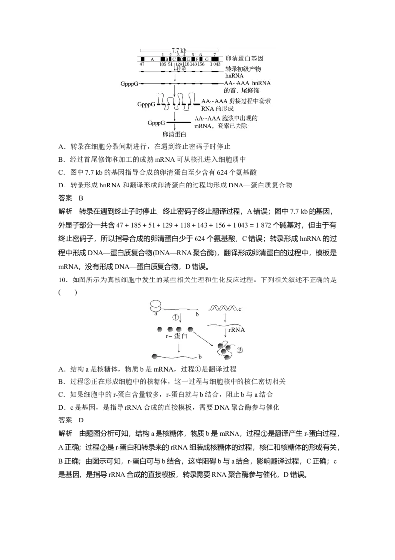 2024年高考生物一轮复习（新人教版）第6单元　第3课时　基因的概念与表达_09高考生物_2024年新高考资料_1.2024一轮复习_2024年高考生物一轮复习讲义（新人教版）