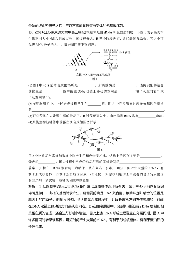 2024年高考生物一轮复习（新人教版）第6单元　第3课时　基因的概念与表达_09高考生物_2024年新高考资料_1.2024一轮复习_2024年高考生物一轮复习讲义（新人教版）