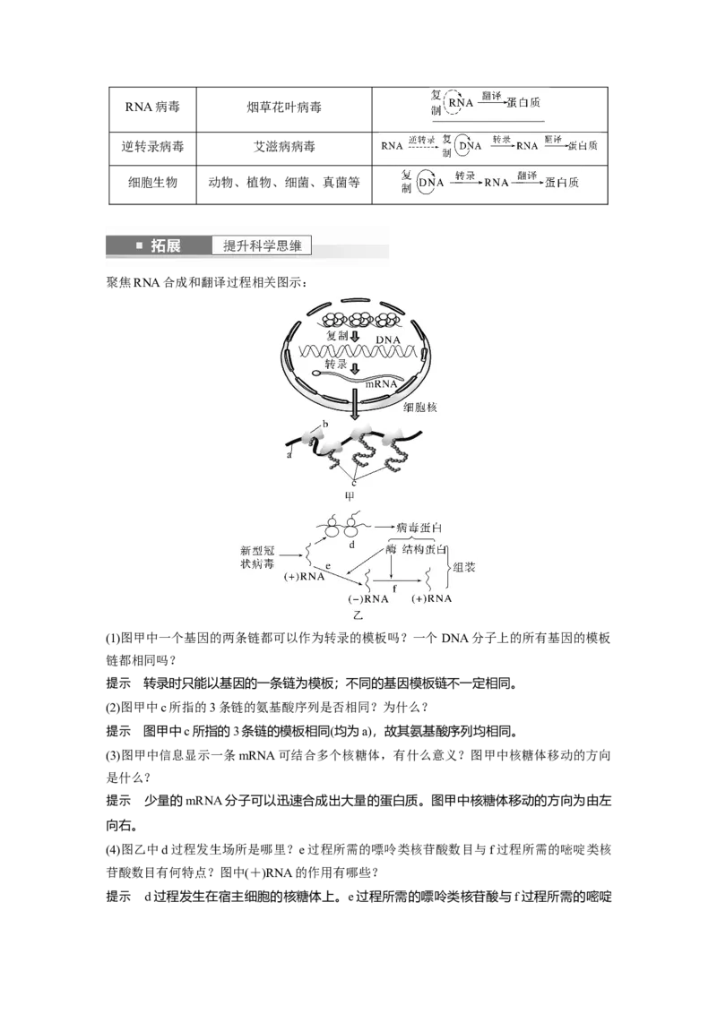 2024年高考生物一轮复习（新人教版）第6单元　第3课时　基因的概念与表达_09高考生物_2024年新高考资料_1.2024一轮复习_2024年高考生物一轮复习讲义（新人教版）