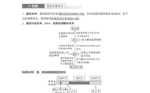 2024年高考生物一轮复习（新人教版）第6单元　第3课时　基因的概念与表达_09高考生物_2024年新高考资料_1.2024一轮复习_2024年高考生物一轮复习讲义（新人教版）