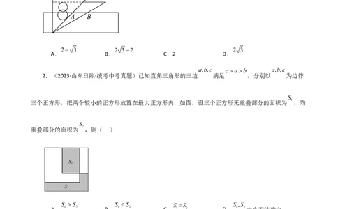 专题17.6勾股定理（直通中考）（提升练）-（人教版）_初中数学_八年级数学下册（人教版）_专题突破练习-V4