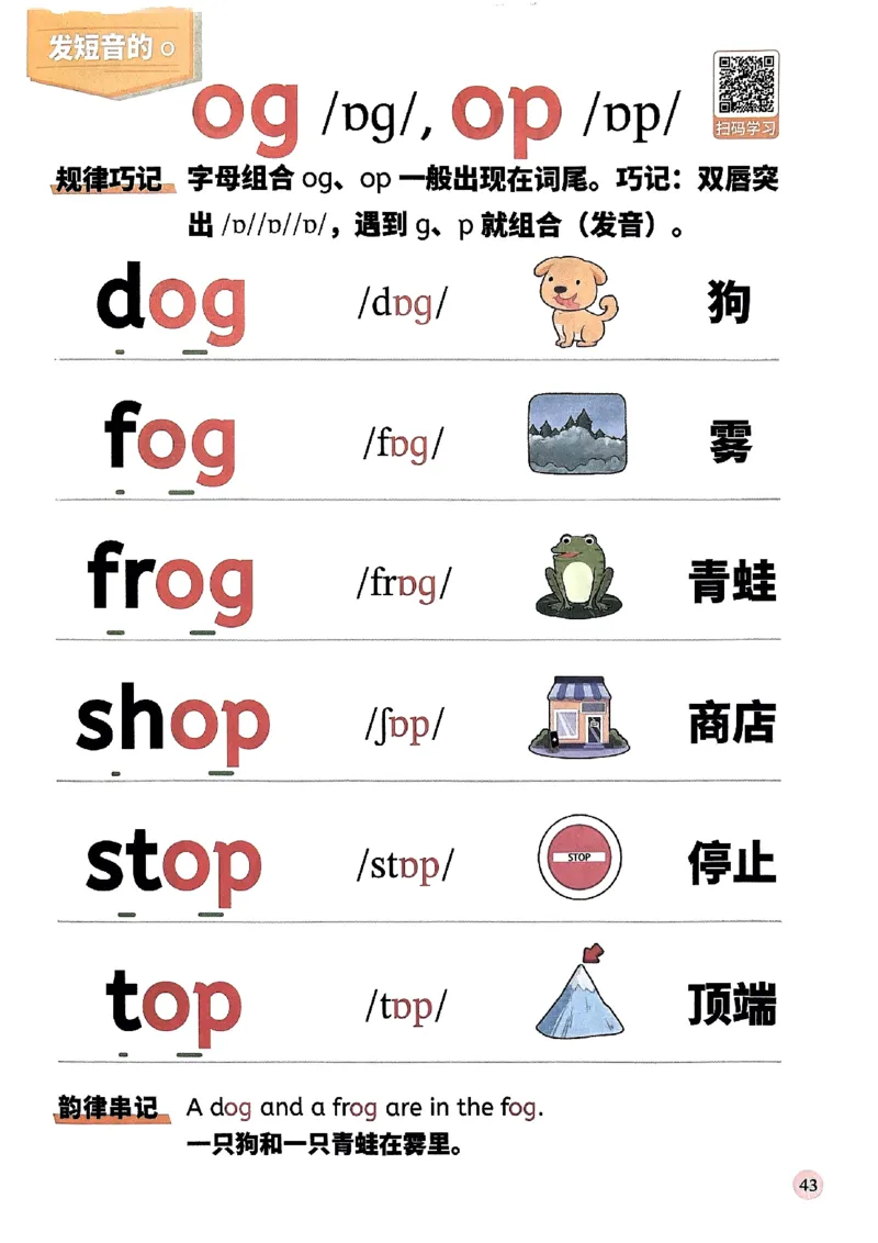 斗半匠-自然拼读记单词一本通_26春四年级上下册人教版_四上英语合集人教版PEP英语四年级上册新教材（教学视频+课件+动画+音频+练习+教案）_17练习资料_《小学英语一本通》