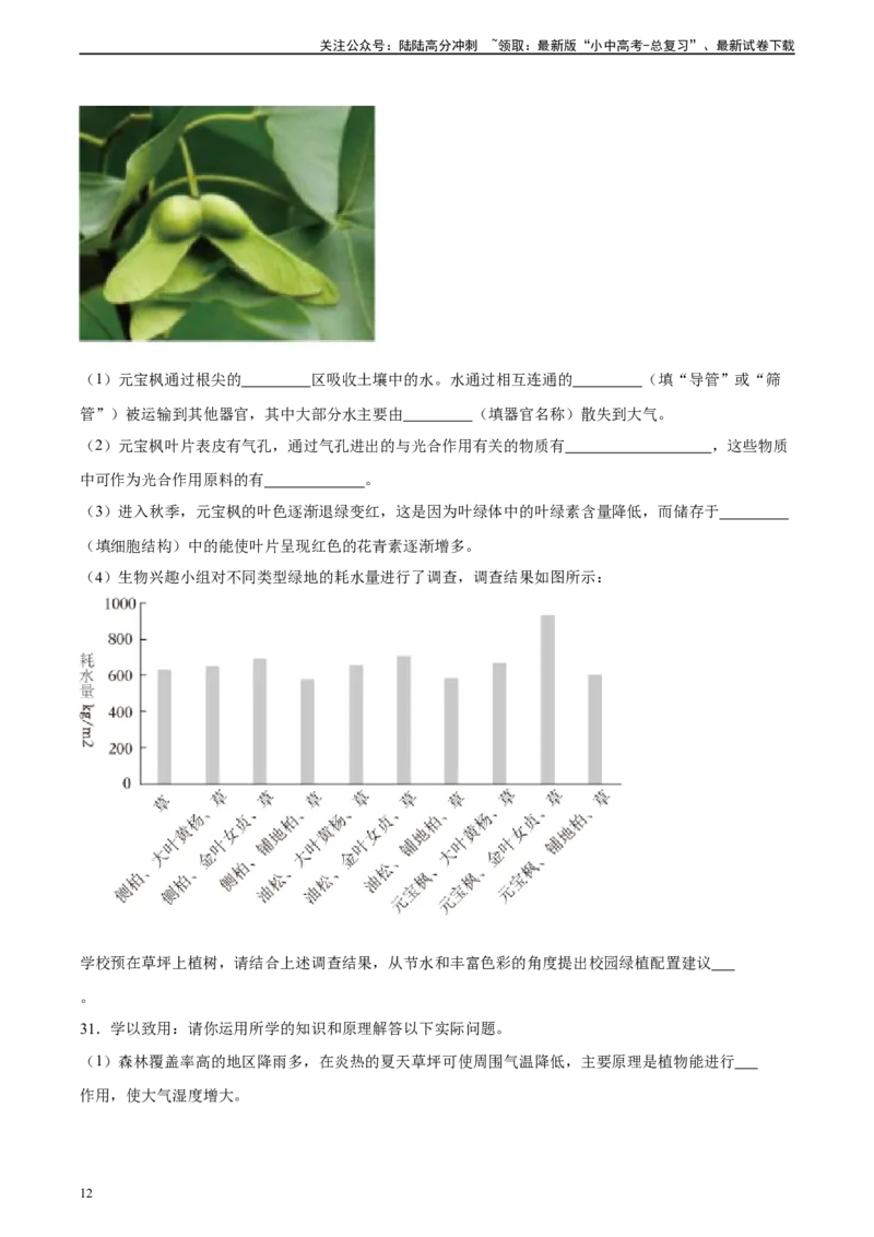 专题07绿色植物的光合作用（习题精练）（原卷版）_02中考总复习（2026版更新中）_08-生物-中考总复习_2024年中考复习资料_一轮复习_配套练习（原卷版+解析版）