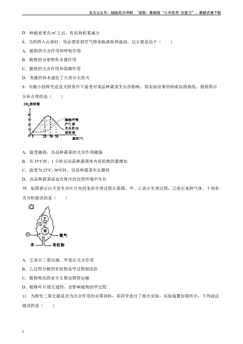 专题07绿色植物的光合作用（习题精练）（原卷版）_02中考总复习（2026版更新中）_08-生物-中考总复习_2024年中考复习资料_一轮复习_配套练习（原卷版+解析版）