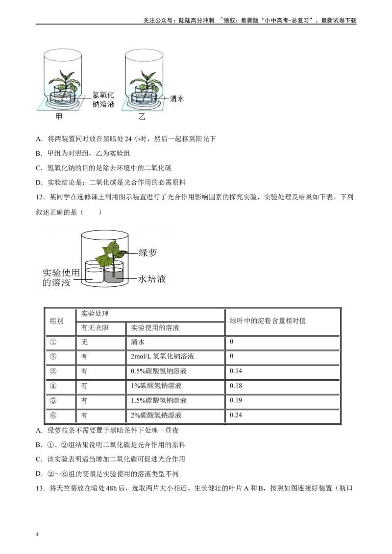 专题07绿色植物的光合作用（习题精练）（原卷版）_02中考总复习（2026版更新中）_08-生物-中考总复习_2024年中考复习资料_一轮复习_配套练习（原卷版+解析版）