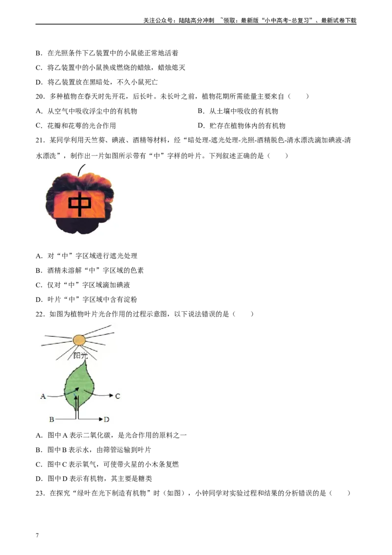 专题07绿色植物的光合作用（习题精练）（原卷版）_02中考总复习（2026版更新中）_08-生物-中考总复习_2024年中考复习资料_一轮复习_配套练习（原卷版+解析版）